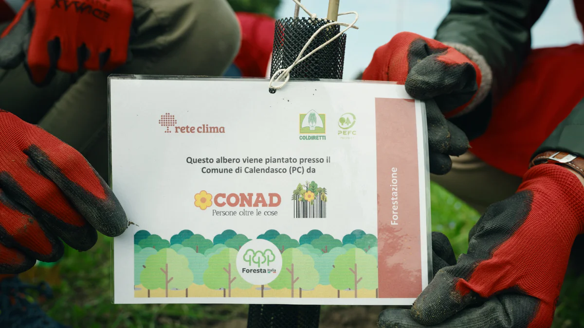 070324 - Conad Calendasco_1.13.1.jpg